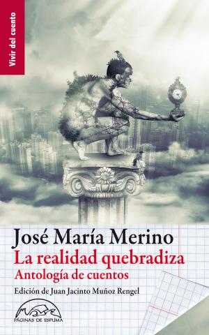 Cover of the book La realidad quebradiza by Javier Fernández Panadero