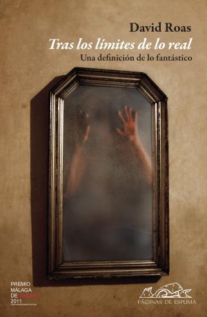 Cover of the book Tras los límites de lo real by José María Merino