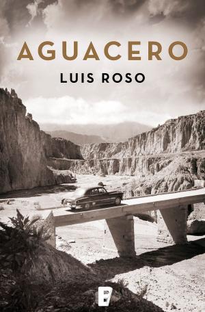 Cover of the book Aguacero (Inspector Trevejo 1) by Varios Autores