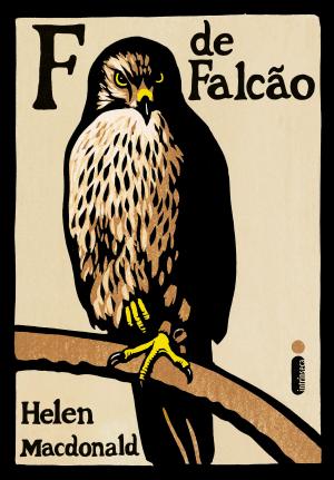 Cover of the book F de falcão by Pittacus Lore