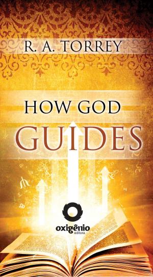 Book cover of How God guides