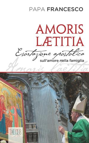 Cover of the book Amoris Laetitia by Tandy Balson
