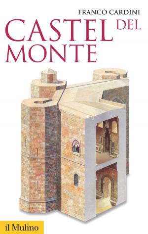 Cover of the book Castel del Monte by Anna, Vanzan