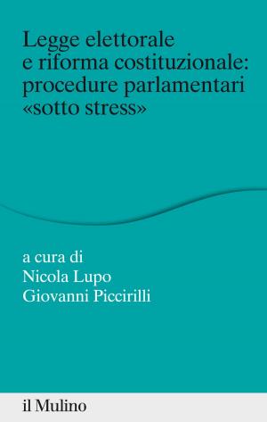 Cover of the book Legge elettorale e riforma costituzionale: procedure parlamentari "sotto stress" by Cesare, Cornoldi, Giorgio, Israel