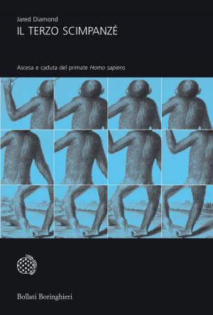 Cover of the book Il terzo scimpanzé by Berti Annamaria