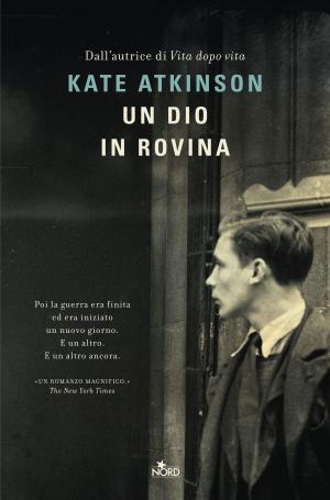 Book cover of Un dio in rovina