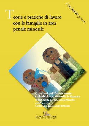 Book cover of Teorie e pratiche di lavoro con le famiglie in area penale minorile