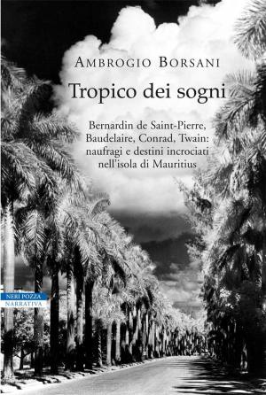 Cover of the book Tropico dei sogni by Angelo Del Boca