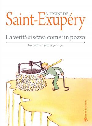 Cover of the book La verità si scava come un pozzo by Massimo Centini