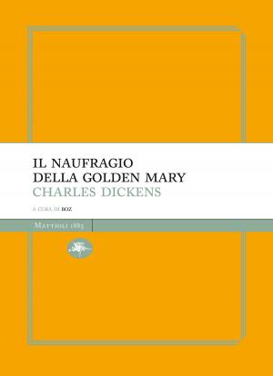 Cover of the book Il naufragio della Golden Mary by Botta Gianluca, Viviana Mascilongo