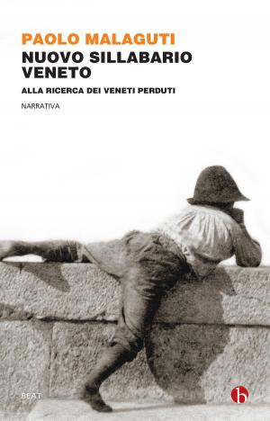Book cover of Nuovo Sillabario veneto