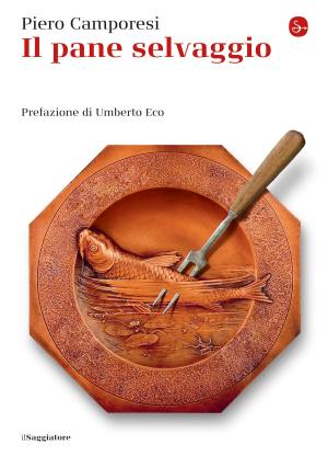 Book cover of Il pane selvaggio