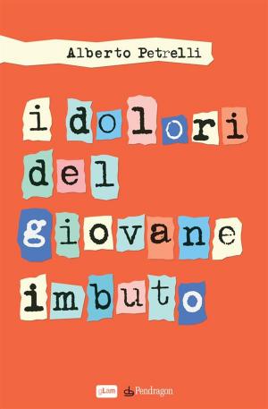 Cover of the book I dolori del giovane imbuto by Wolfgang Schweiger
