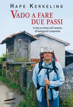 Book cover of Vado a fare due passi