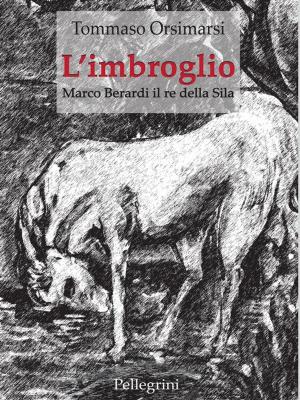 Cover of L'imbroglio. Marco Berardi il re della Sila