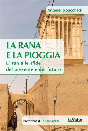 Book cover of La rana e la pioggia