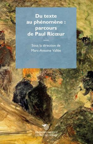 Cover of the book Du texte au phénomène : parcours de Paul Ricoeur by Yves Charles Zarka