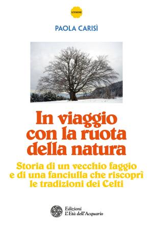 Cover of the book In viaggio con la ruota della natura by Mariano Romano, Cinzia Picchioni