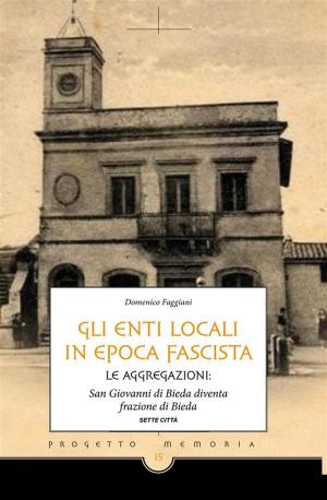 Cover of the book Gli enti locali in epoca fascista by Francesca De Caprio