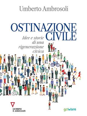 Cover of Ostinazione civile. Idee e storie di una rigenerazione civica
