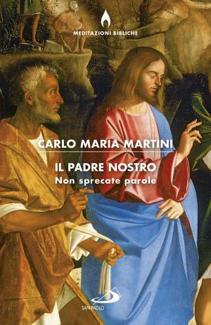 Cover of the book Il Padre nostro. Non sprecate parole by Luigi Giussani