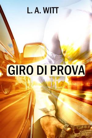 Cover of the book Giro di prova by Josh Lanyon