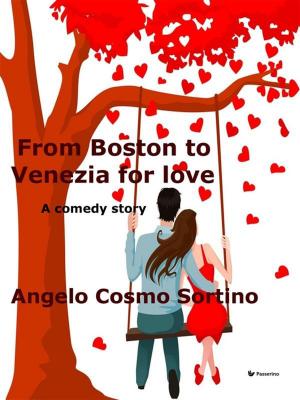 Cover of the book From Boston to Venice for love by Alfredo Oriani