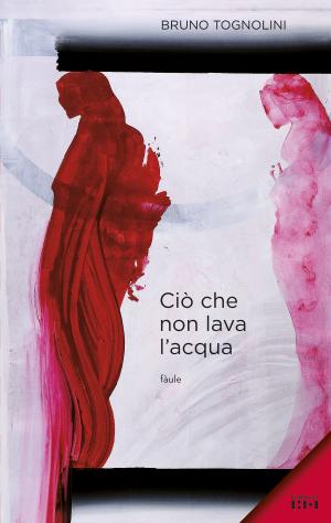 Cover of the book Ciò che non lava l'acqua by Andrea Rauch, Robert Louis Stevenson