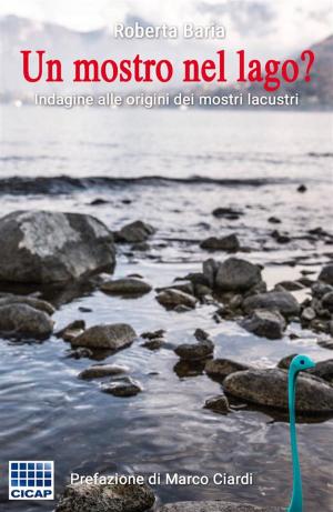 Cover of the book Un mostro nel lago? by A.J. McForest