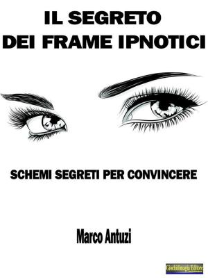 Cover of the book Il Segreto dei Frame Ipnotici by Marco Antuzi
