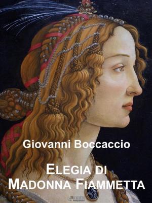 Cover of the book Elegia di Madonna Fiammetta by Niccolò Machiavelli