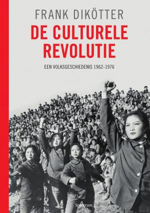Cover of the book De culturele revolutie by Joost Verbeek, Foeke Jan Reitsma