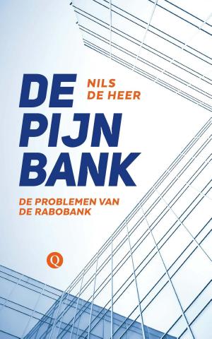 Cover of the book De pijnbank by Basje Boer