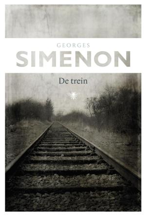 Cover of the book De trein by Rutger Bregman