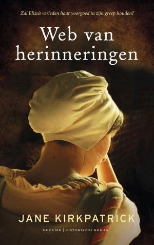 Cover of the book Web van herinneringen by Baantjer
