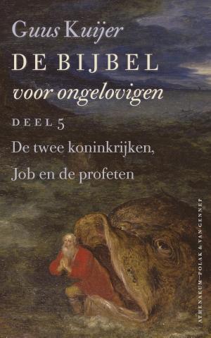 Cover of the book De Bijbel voor ongelovigen by Kader Abdolah