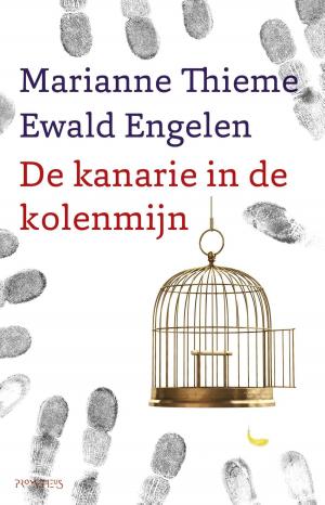 Cover of the book Kanarie in de kolenmijn by Lara Taveirne