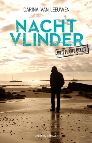 Cover of the book Nachtvlinder by Jens Lapidus
