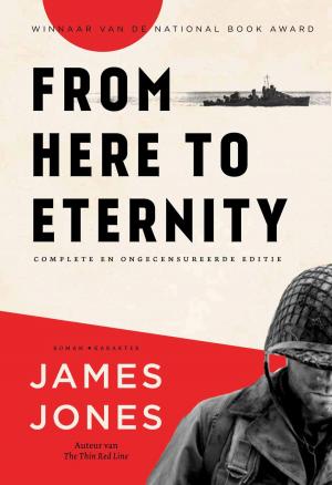 Book cover of From here to eternity