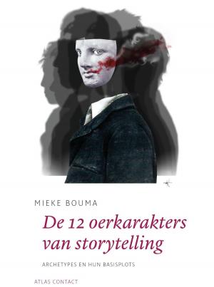 Cover of the book De 12 oerkarakters in storytelling by Dimitri Verhulst
