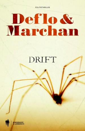 Cover of the book Drift by Rudi Vranckx