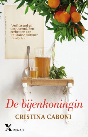 Cover of the book De bijenkoningin by Cristina Caboni