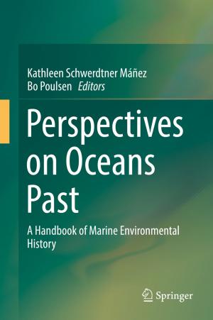 Cover of the book Perspectives on Oceans Past by Panna Ram Siyag