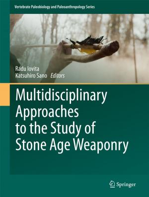 Cover of Multidisciplinary Approaches to the Study of Stone Age Weaponry