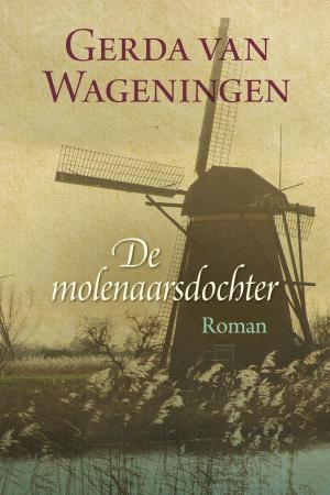 Cover of the book De molenaarsdochter by Greetje van den Berg