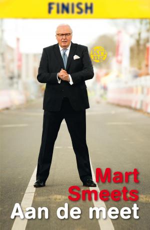 Cover of the book Aan de meet by Mart Smeets