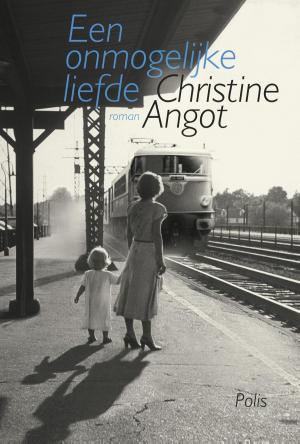 Cover of the book Een onmogelijke liefde by Anja Feliers