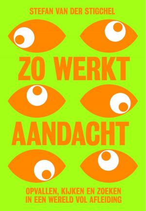 Cover of the book Zo werkt aandacht by Marius Kerdel, Jolmer Schukken