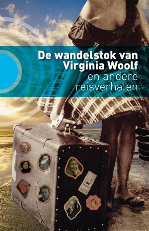 Cover of the book De wandelstok van Virginia Woolf by Coen Peppelenbos