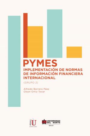 Cover of the book PYMES: implementación de normas de información financiera internacional by Ricardo Sandoval Barros
